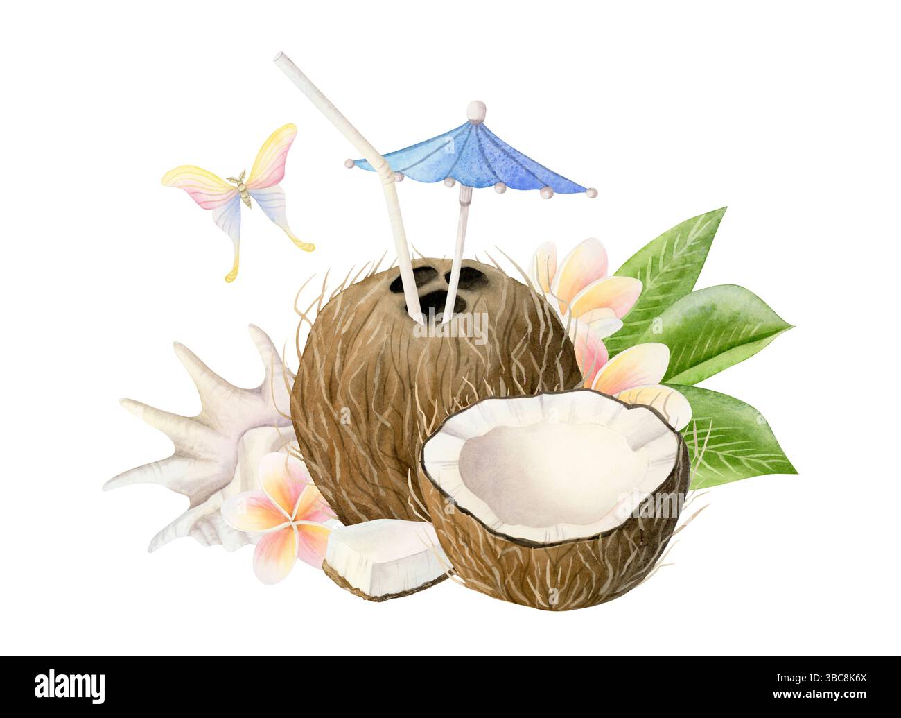 Cocktail tropical avec noix de coco, fleurs de plumeria , coquillage et aquarelle papillon illustration isolée. Boisson estivale saine avec tranchées Banque D'Images
