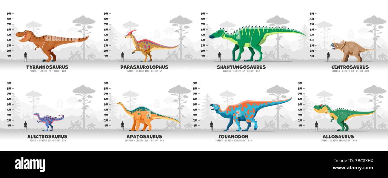 Infographies préhistoriques de dinosaures, carte vectorielle de dessin animé présentant des espèces de dinosaures, montrées avec leur hauteur respective, longueur et hauteur est comparée à la silhouette d'un humain pour l'échelle dans un coloré Illustration de Vecteur
