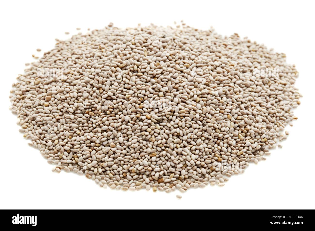 Graines de chia blanches biologiques riches en acides gras oméga-3 Banque D'Images