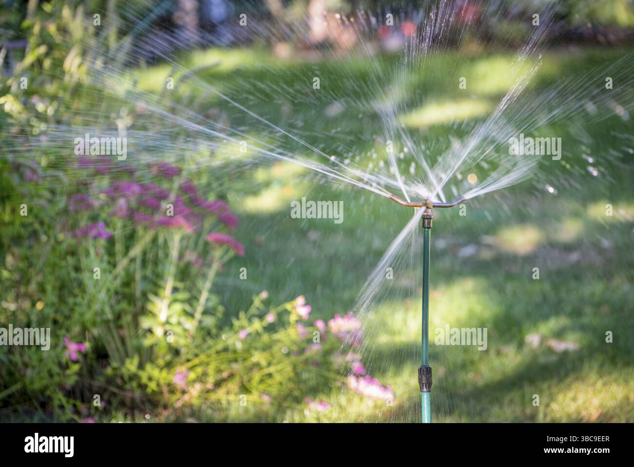 Arroseurs d'eau fonctionnant dans un jardin avec une variété de fleurs Banque D'Images