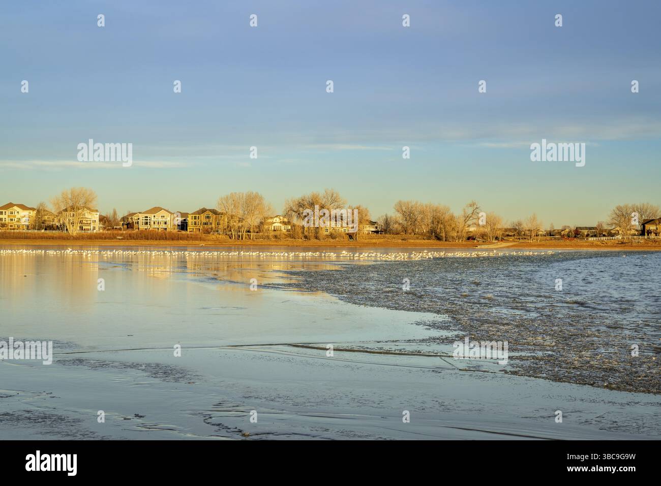 Lac glacial au coucher du soleil avec des maisons au bord de l'eau et mouettes sur la glace - Boyd Lake dans le nord du Colorado Banque D'Images