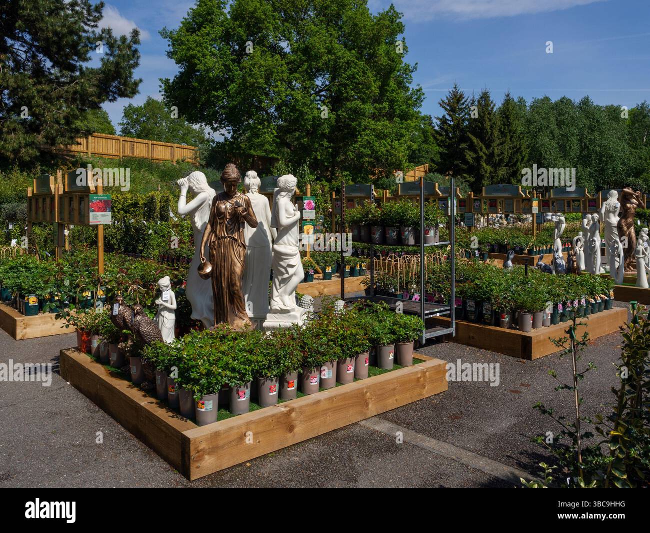 Plantes et ornements de jardin en vente dans la zone extérieure de Harlestone Heath Garden Centre, Northamptonshire, Royaume-Uni ; partie de la chaîne Blue Diamond. Banque D'Images
