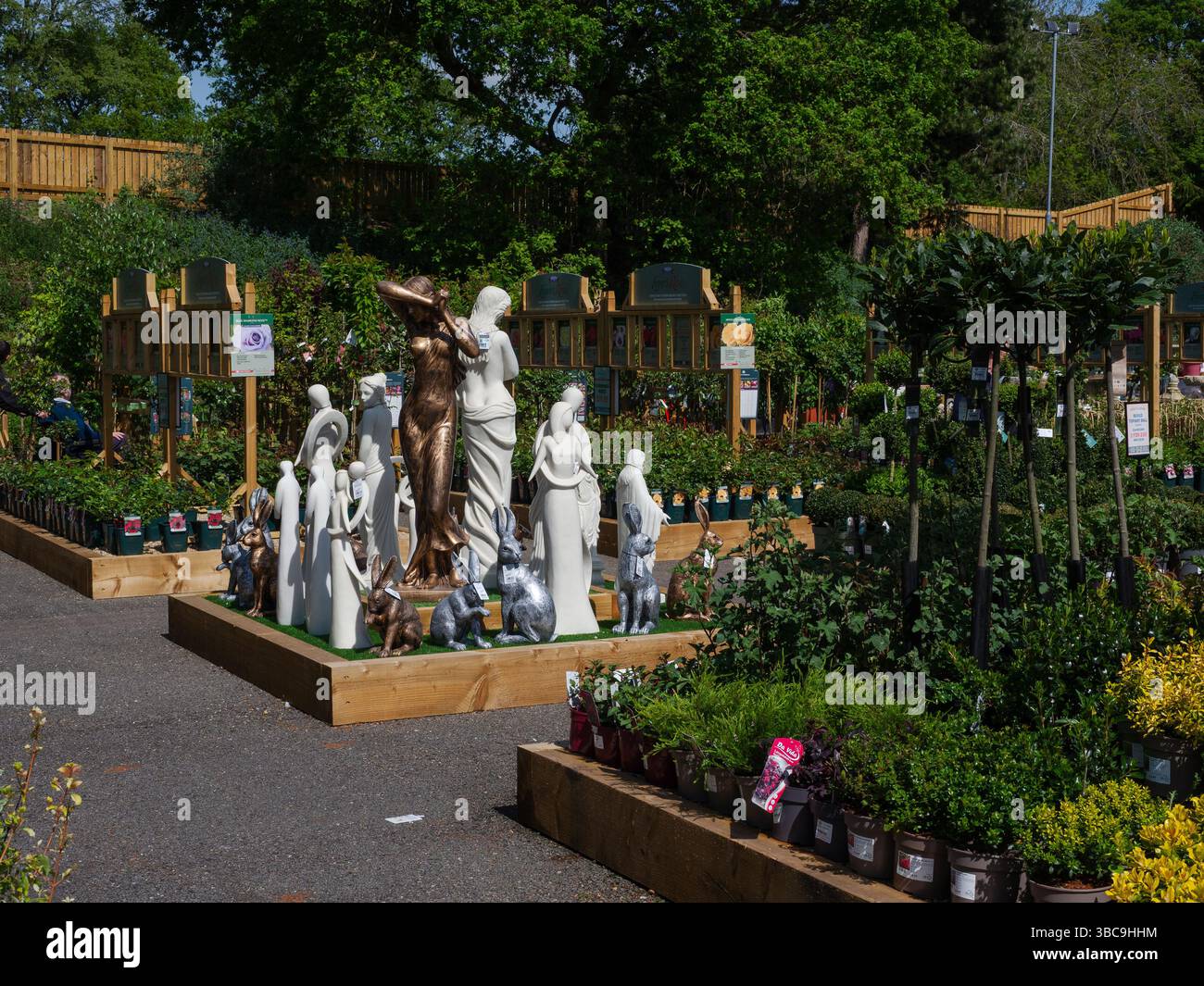 Plantes et ornements de jardin en vente dans la zone extérieure de Harlestone Heath Garden Centre, Northamptonshire, Royaume-Uni ; partie de la chaîne Blue Diamond. Banque D'Images