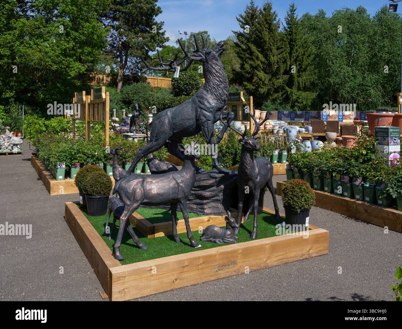 Plantes et ornements de jardin en vente dans la zone extérieure de Harlestone Heath Garden Centre, Northamptonshire, Royaume-Uni ; partie de la chaîne Blue Diamond. Banque D'Images