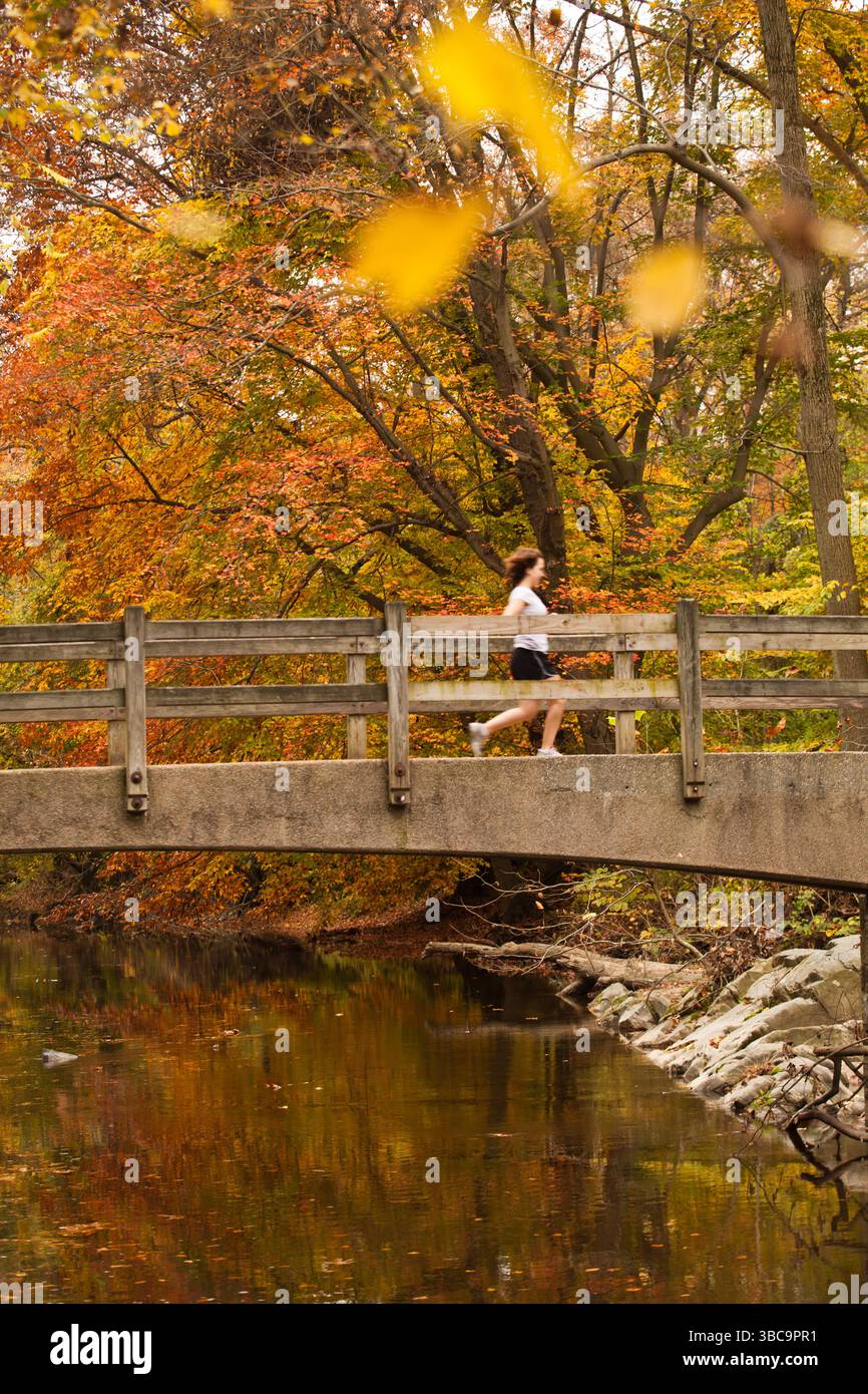 Une femme court sur un pont sur un sentier boisé dans Rock Creek Park à Washington DC sous Autumn Leaves. Banque D'Images