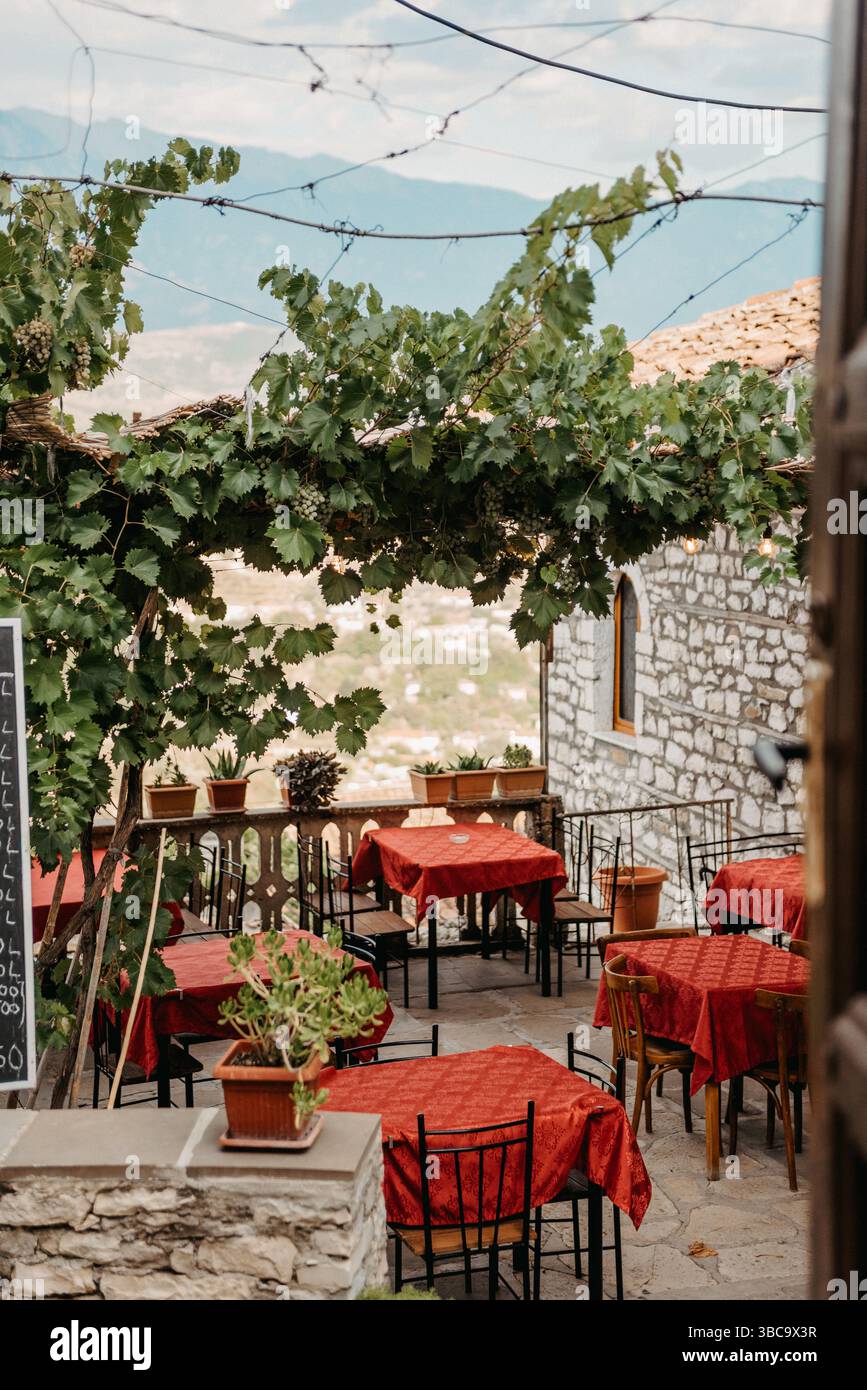 Café traditionnel avec terrasse avec vignes au château de Berat, Albanie Banque D'Images