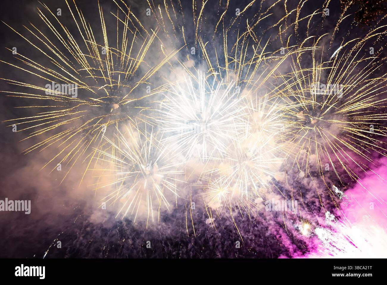 Couleur lumineuse d'artifice dans le ciel de nuit Banque D'Images