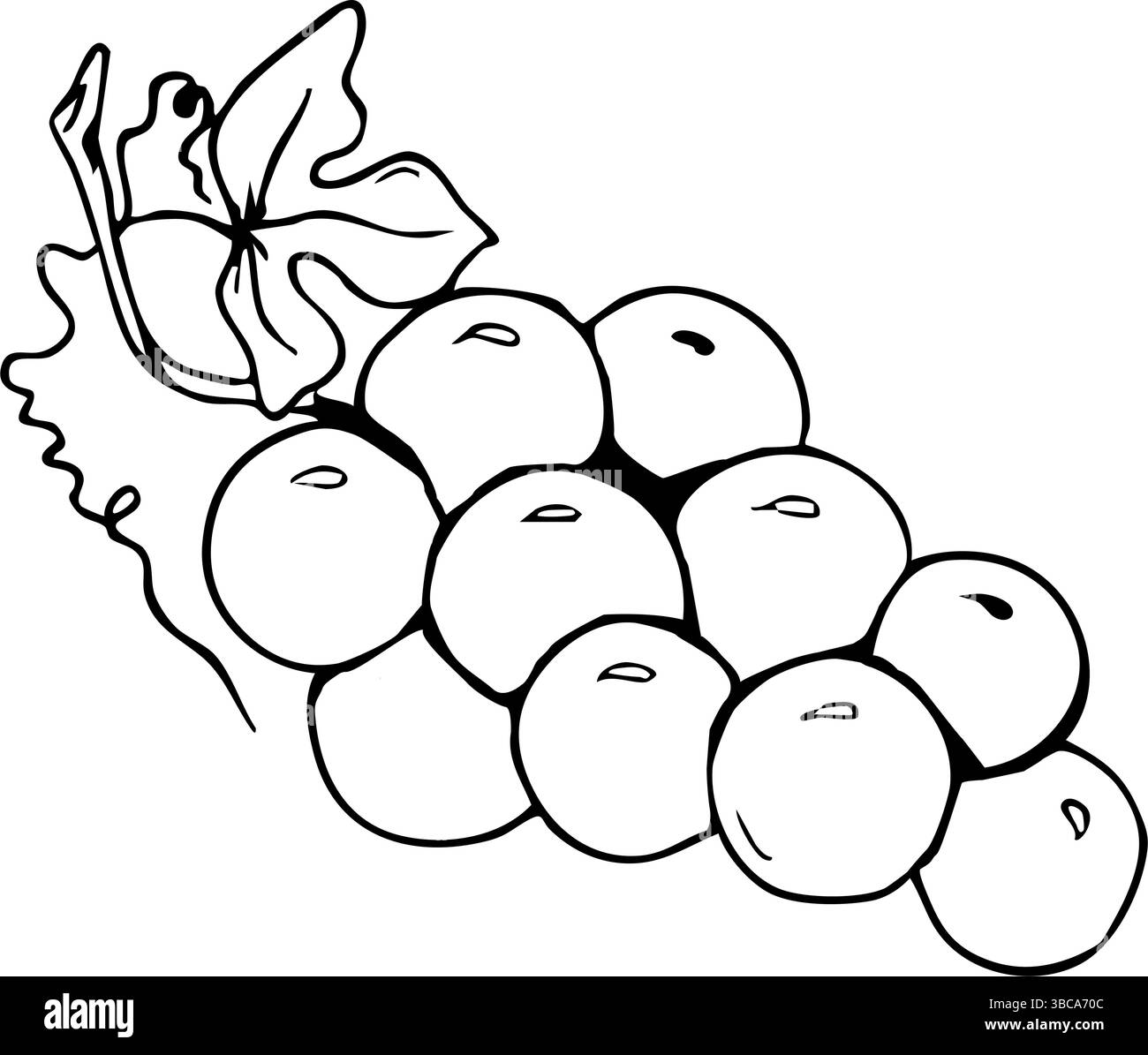 Conception de célébration de la première communion avec symbole de raisin. Contours noirs, fond blanc. Grappe de raisin. Graphique complet Pour baptême, mariage Illustration de Vecteur