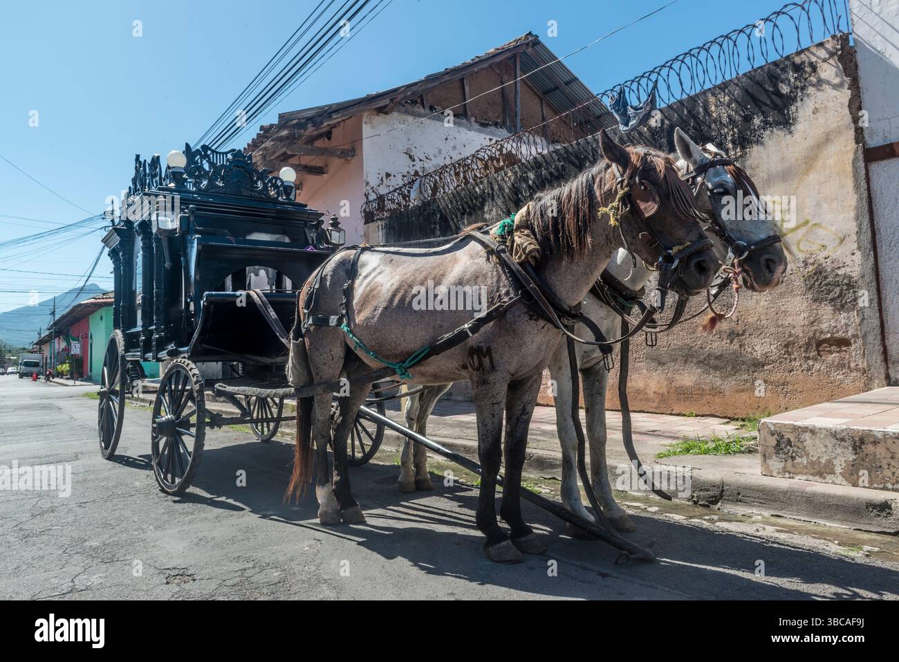 Cheval antique tiré corbillard attendant en préparation pour des funérailles dans une rue devant une organisation funéraire. Grenade, Nicaragua. Banque D'Images