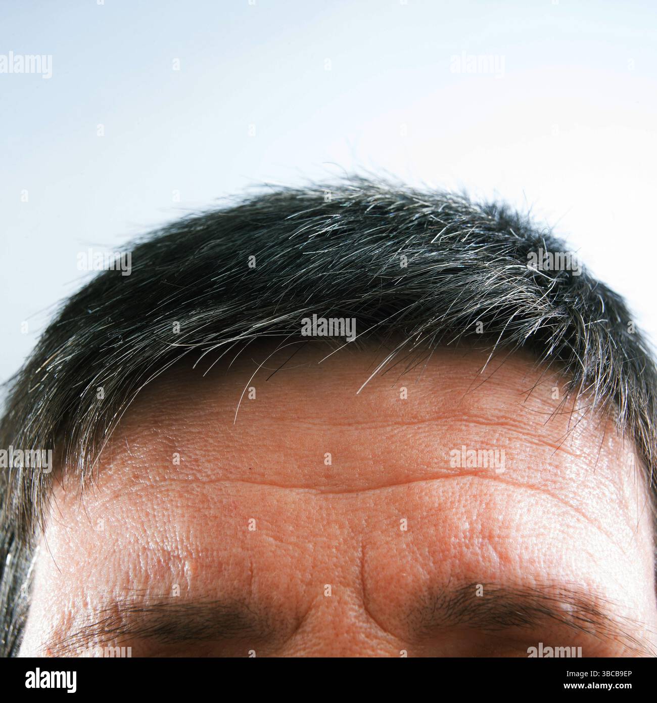 La vue se concentre sur le front et les cheveux d'un homme, mettant en évidence les brins gris naturels sur un fond clair Banque D'Images