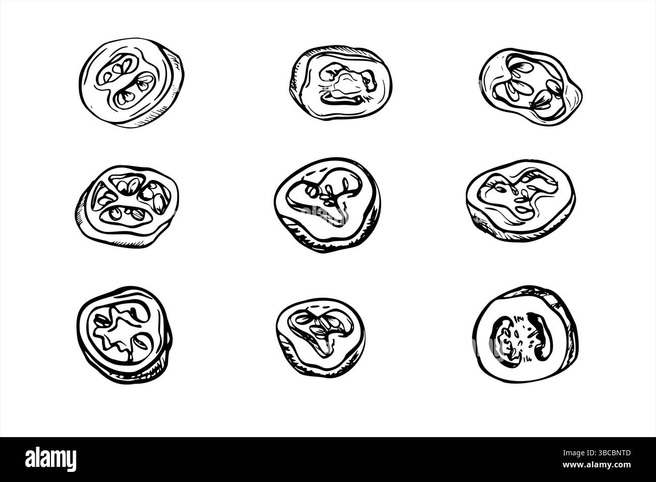 Tranches rondes de piment fort avec des illustrations vectorielles monochromes de jeu de graines. Jalapeno, Cayenne, Chili clip art pour l'emballage, étiquettes, marque alimentaire épicée Illustration de Vecteur