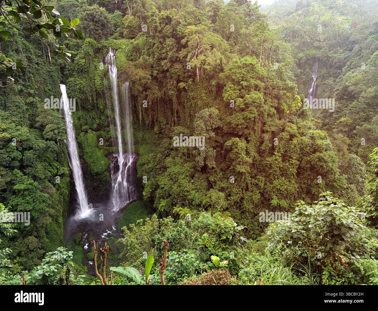 Vue aérienne de Sekumpul et Cascade cachée à Buleleng Bali Banque D'Images