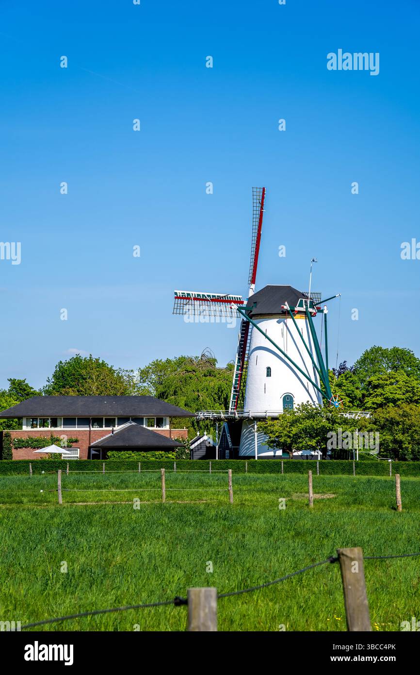 Vieille ville de Goes, Allemagne Banque D'Images