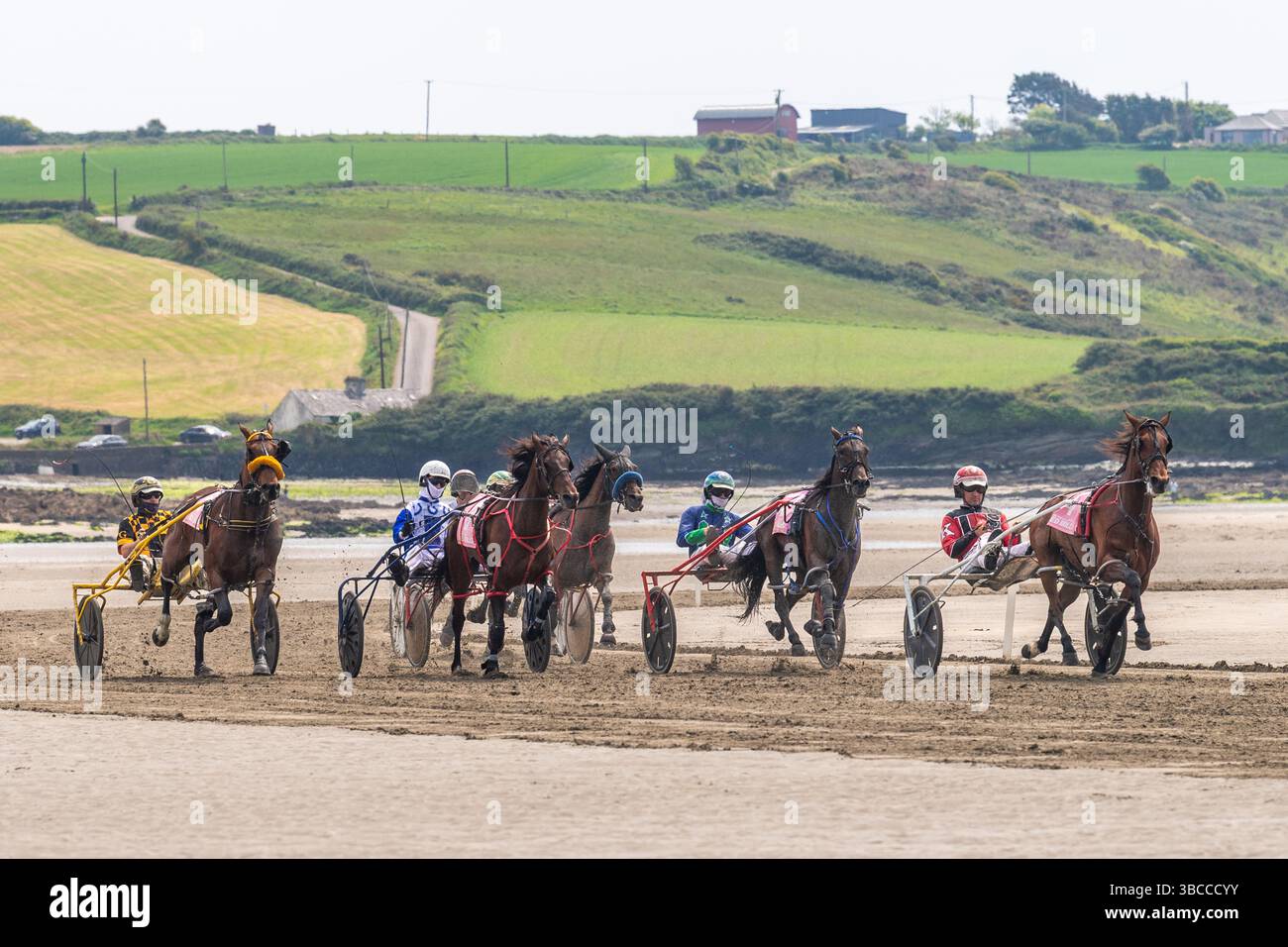 Course de harnais sur Harbour View Beach, West Cork, Irlande. Banque D'Images