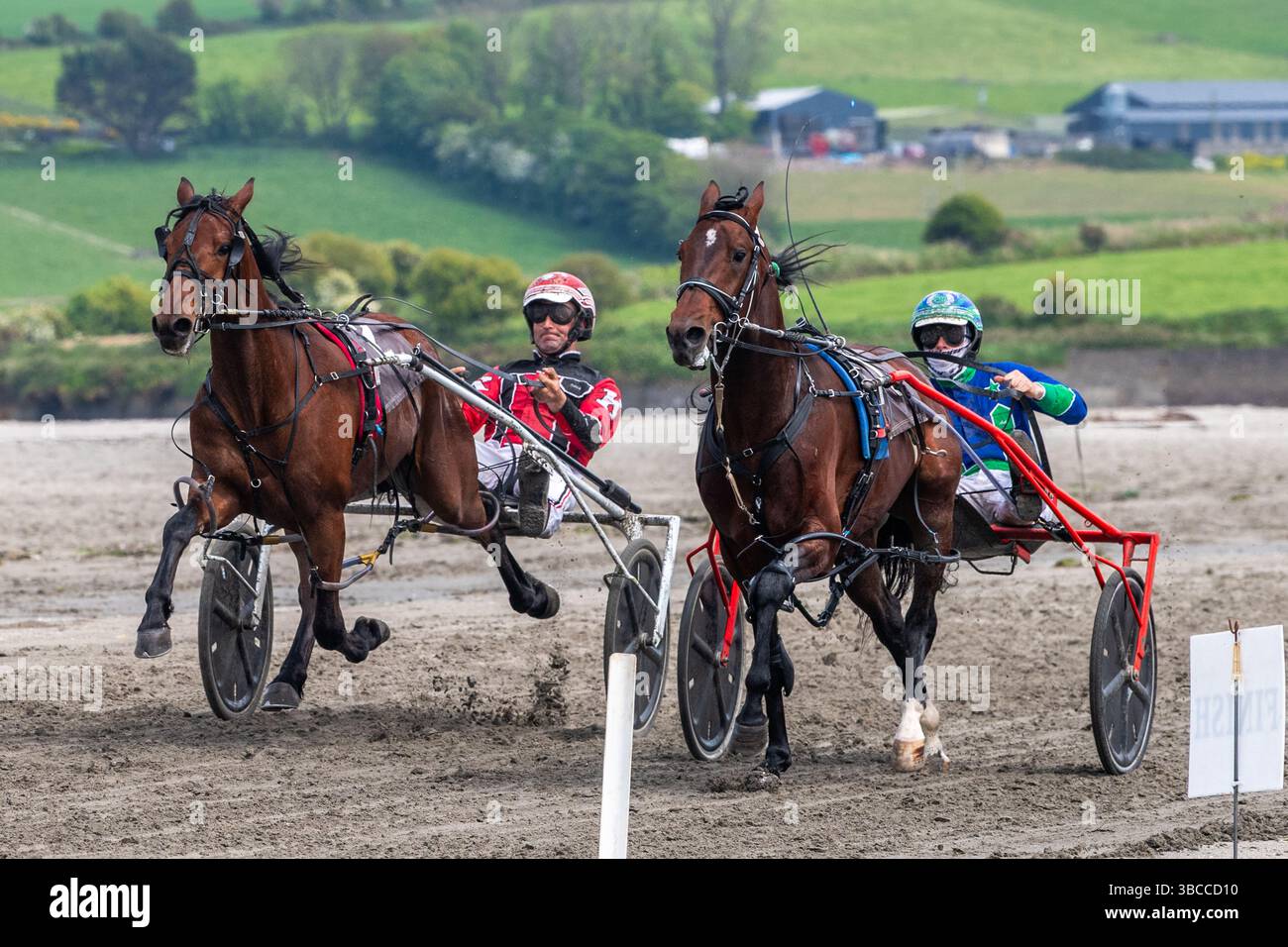 Course de harnais sur Harbour View Beach, West Cork, Irlande. Banque D'Images