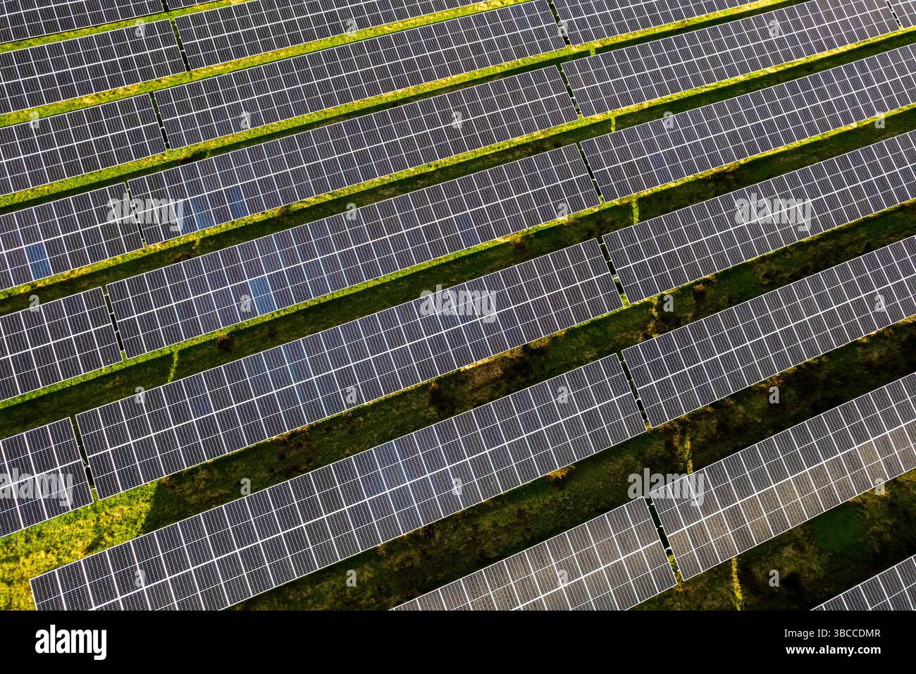 Vue aérienne d'une ferme solaire à l'extérieur de Bandon, West Cork, Irlande. Banque D'Images