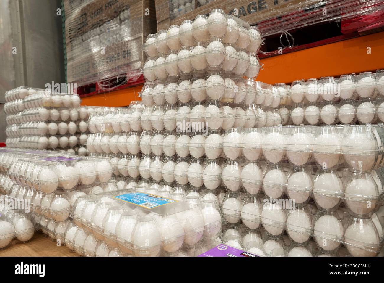 Œufs élevés en liberté sous l'étiquette Kirkland signature dans un magasin Costco à Tigard, Oregon. Banque D'Images