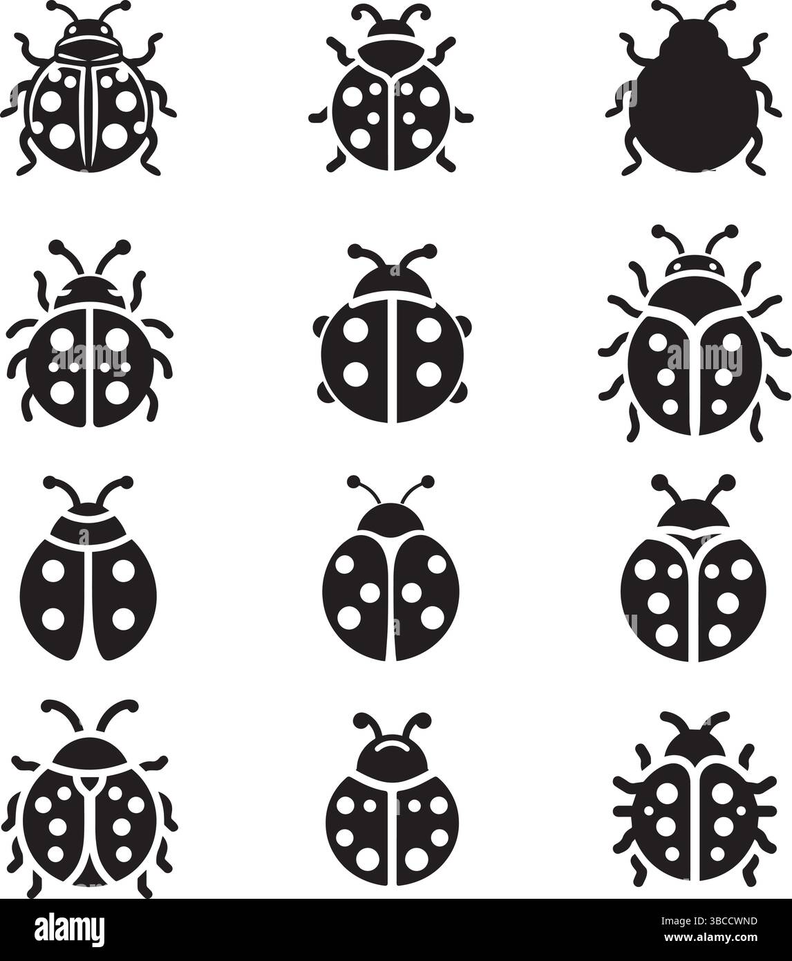 Coccinelle noire et blanche Banque d'images vectorielles Alamy — free download