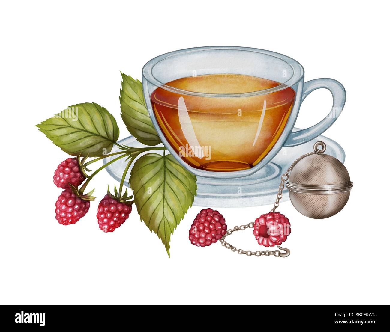 Tasse avec des feuilles de framboise, des baies mûres et un infuseur de thé en métal, dessinant dans un style aquarelle. Convient pour l'emballage de thé, la décoration de cuisine, la conception de produits à base de plantes et la marque de café. Banque D'Images