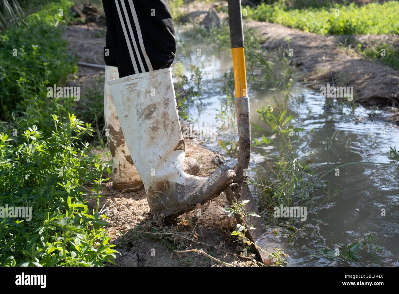 Personne nettoyant un canal d'irrigation Banque D'Images