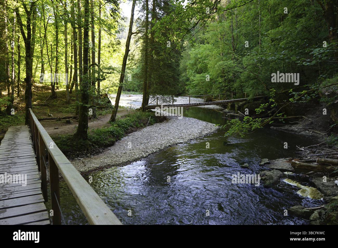 Sentier de randonnée, ponts en bois sur la Wutach, gorge de Wutach entre Bachheim et Wutachmuehle, gorge moyenne dans le calcaire principal coquillage, Schluchtenstei Banque D'Images Sentier de randonnée, ponts en bois sur la Wutach, gorge de Wutach entre Bachheim et Wutachmuehle, gorge moyenne dans le calcaire principal coquillage, Schluchtenstei Banque D'Images