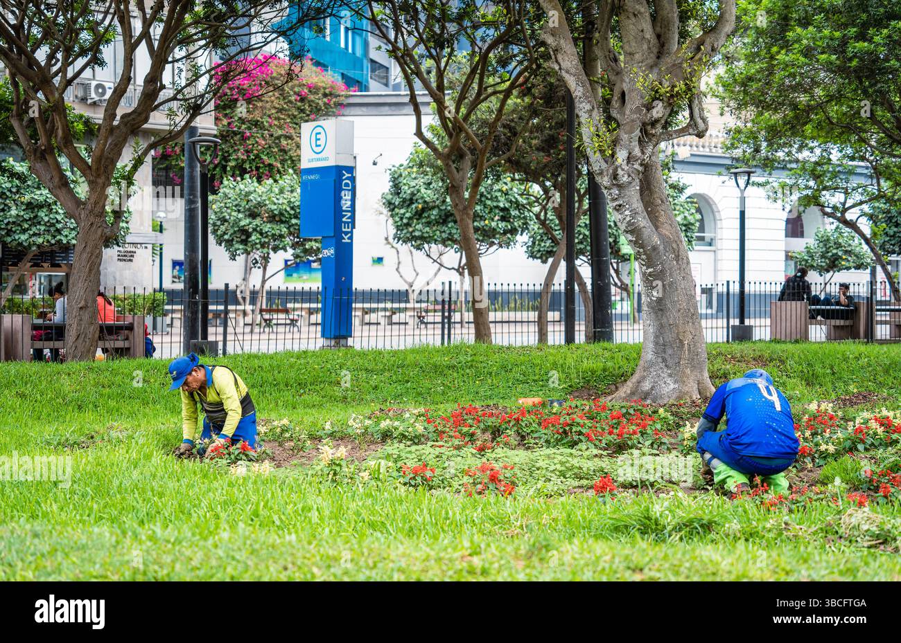 Lima, Pérou - 11 mars 2025 : deux ouvriers d'entretien du parc jardinent dans le parc du 7 juin (Parque 7 de Junio), Miraflores Banque D'Images