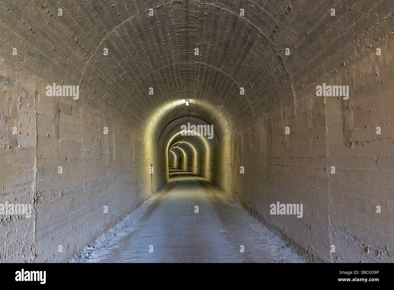 Vue sur un tunnel bien éclairé d'une ancienne voie ferrée menant à l'infini Banque D'Images
