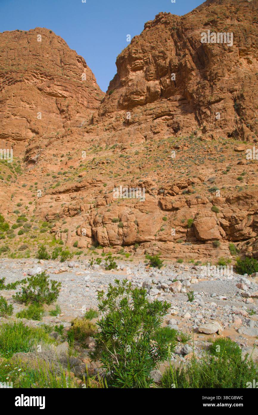 Maroc, Gorges du Todra, paysage, paysage, montagnes, Banque D'Images