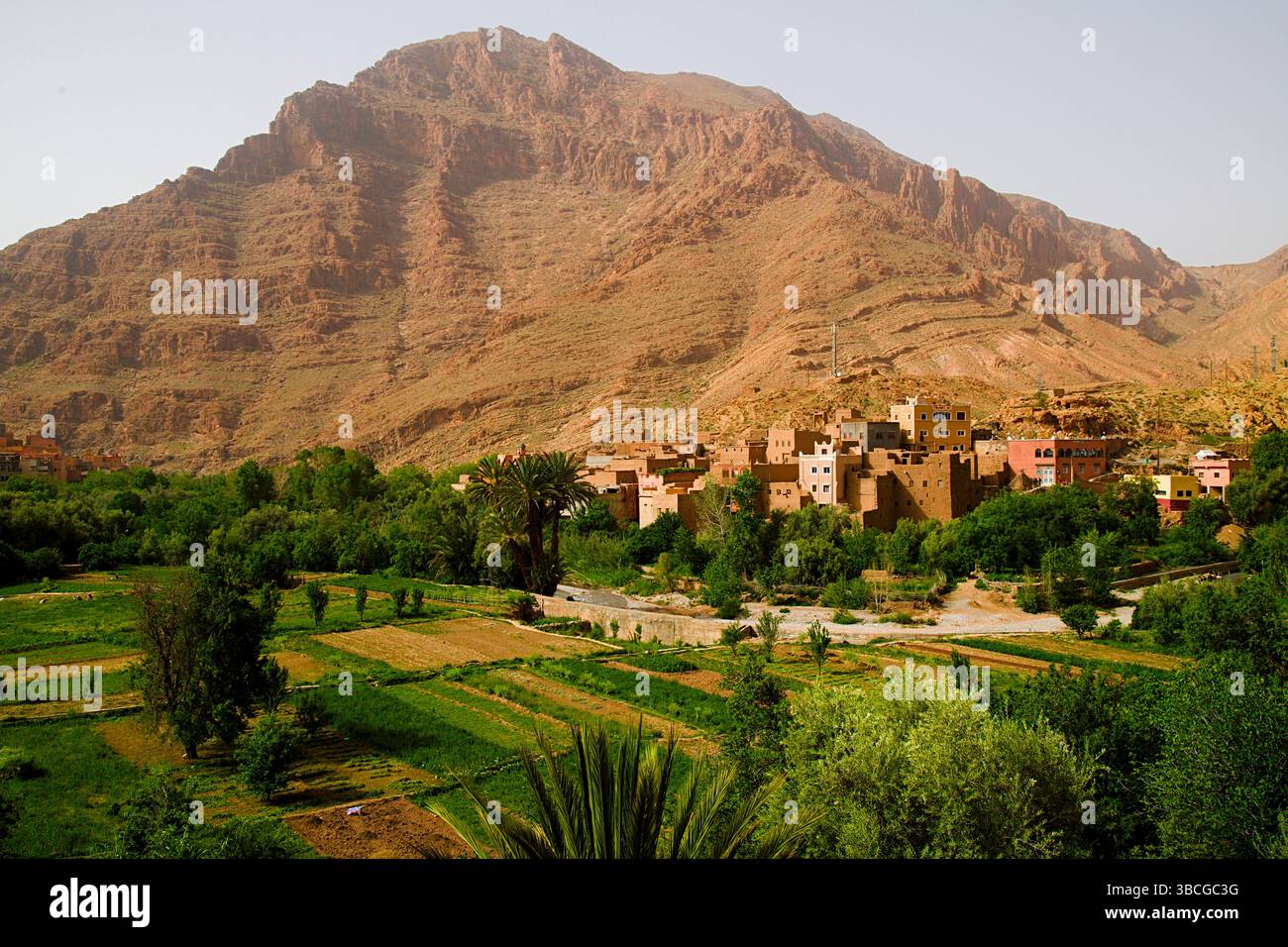 Maroc, Gorges du Todra, paysage, paysage, Banque D'Images
