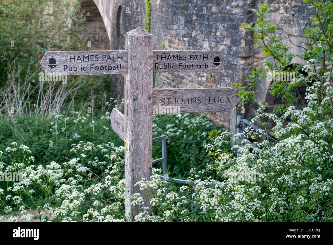 Thames Path public Footpath panneau en bois au printemps. Lechlade on Thames, Cotswolds, Gloucestershire, Angleterre Banque D'Images