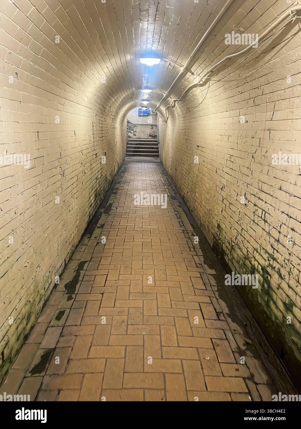 Un tunnel en briques long et étroit avec un plancher de briques. Le tunnel est sombre et vide. Il n'y a ni personnes ni objets visibles dans le tunnel Banque D'Images Un tunnel en briques long et étroit avec un plancher de briques. Le tunnel est sombre et vide. Il n'y a ni personnes ni objets visibles dans le tunnel Banque D'Images