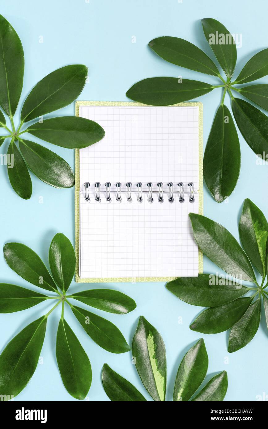 Création de contenu de blog thème nature, prévention de la perte environnementale Banque D'Images