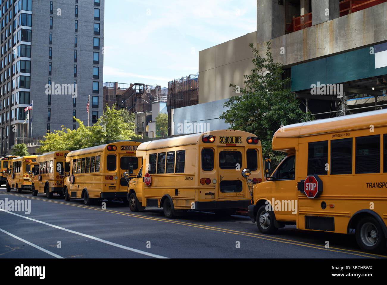 Autobus scolaires jaunes garés le long d'une rue urbaine avec de grands bâtiments et des arbres. Banque D'Images