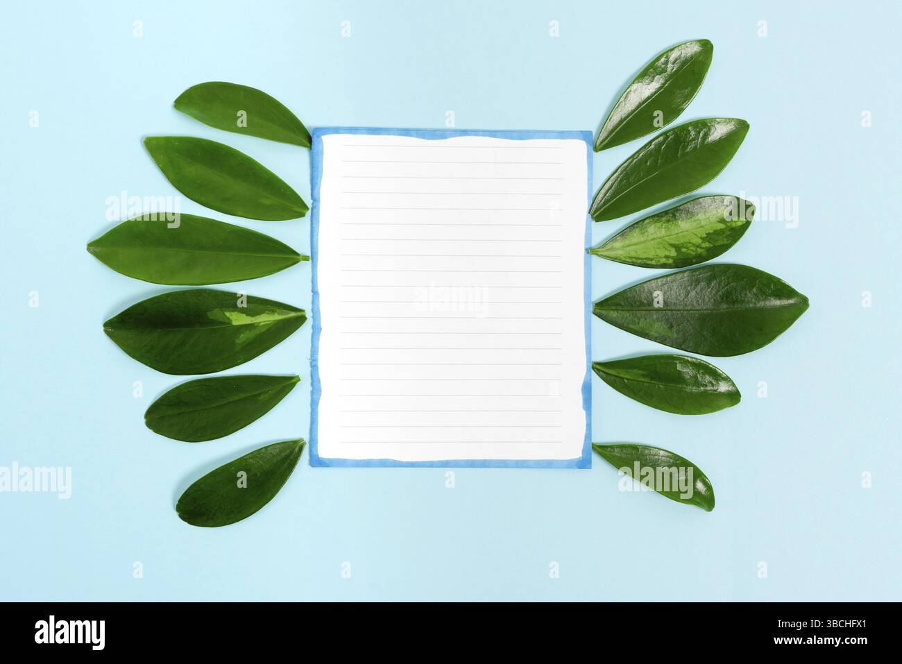 Thème nature Présentation idées et dessins, Affichage de matériaux renouvelables Banque D'Images