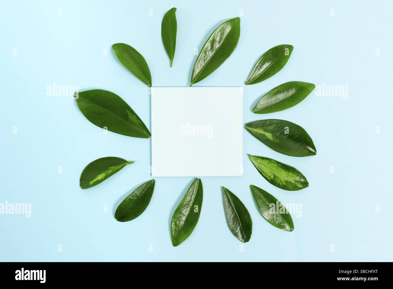 Création de contenu de blog thème nature, prévention de la perte environnementale Banque D'Images