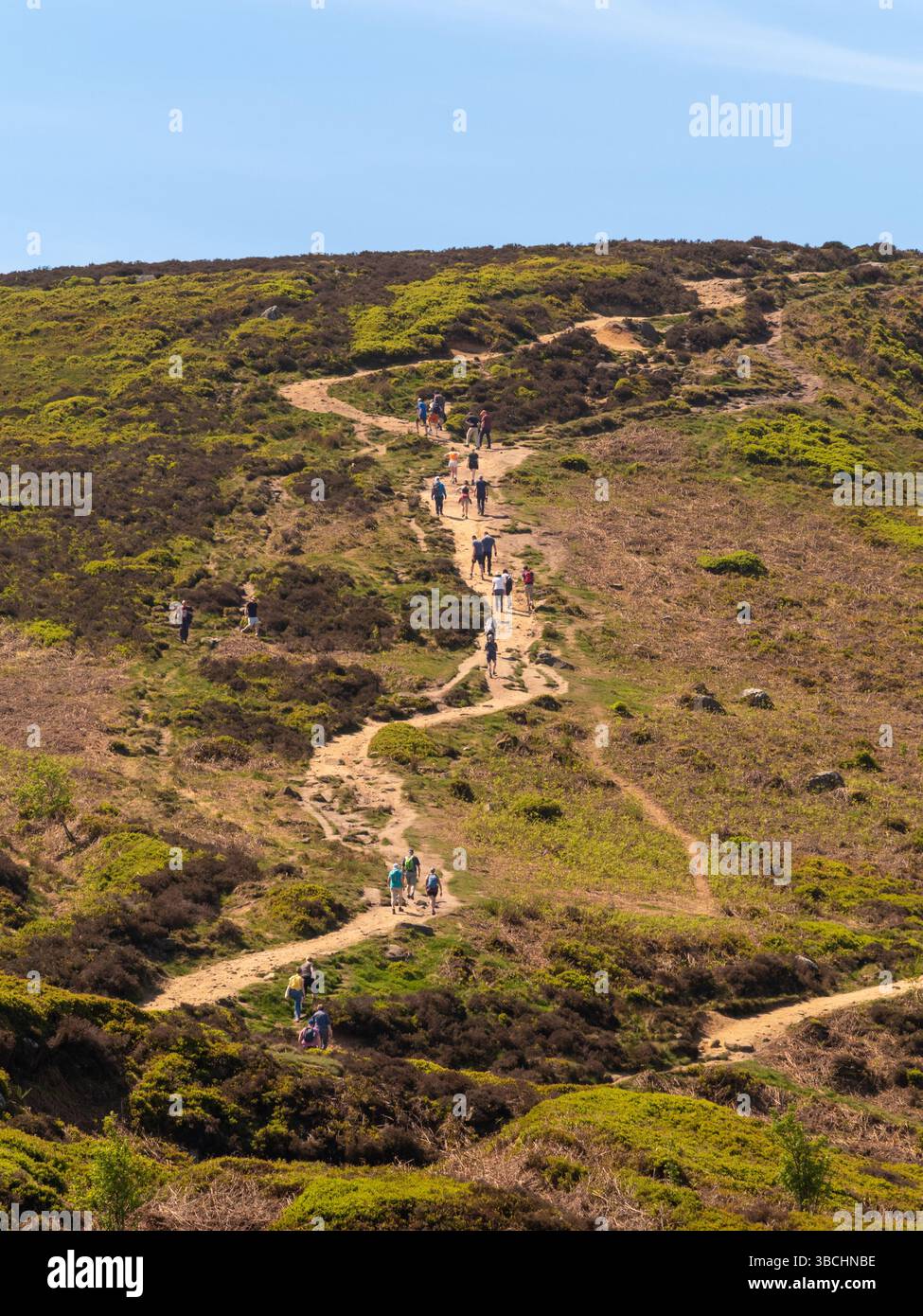 Promeneurs suivant un sentier à travers la lande de bruyère sur Ilkley Moor, West Yorkshire, par un jour de printemps ensoleillé. ROYAUME-UNI Banque D'Images