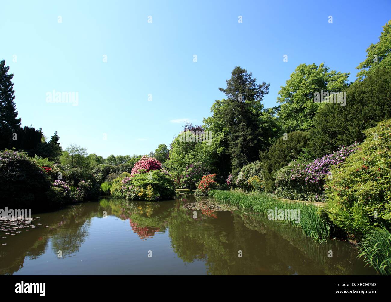 Biddulph grange Garden, Biddulph, Staffordshire, Angleterre, Royaume-Uni. Banque D'Images