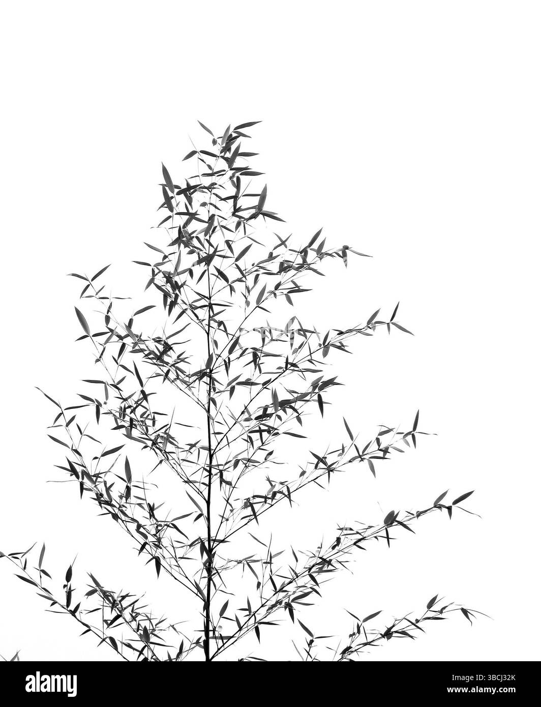 #NAME ? Banque D'Images