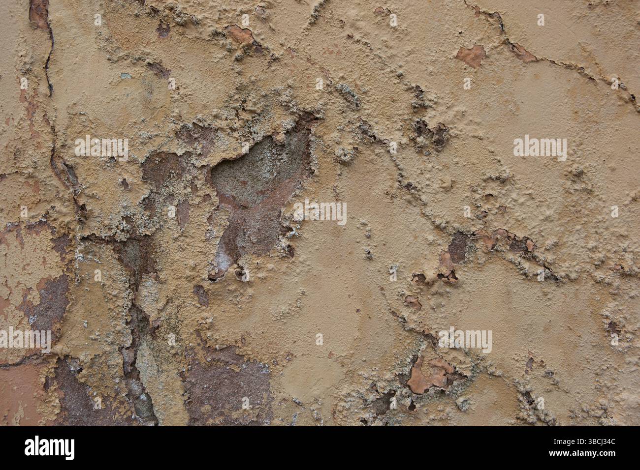 La photo montre un mur de maison avec du plâtre ébréché Banque D'Images