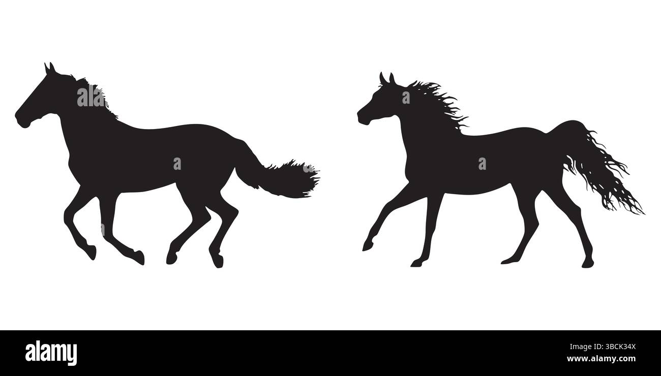 Silhouette de deux chevaux trotting et Galloping sur fond blanc Illustration de Vecteur