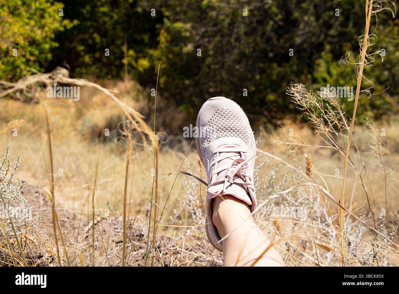 Jambe dans une sneaker sur le fond d'un terrain d'été en Ukraine, une fille en promenade dans le champ Banque D'Images