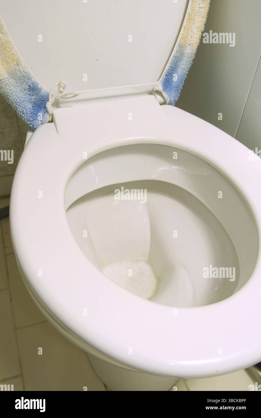 Nettoyage des toilettes, nettoyage des toilettes Banque D'Images