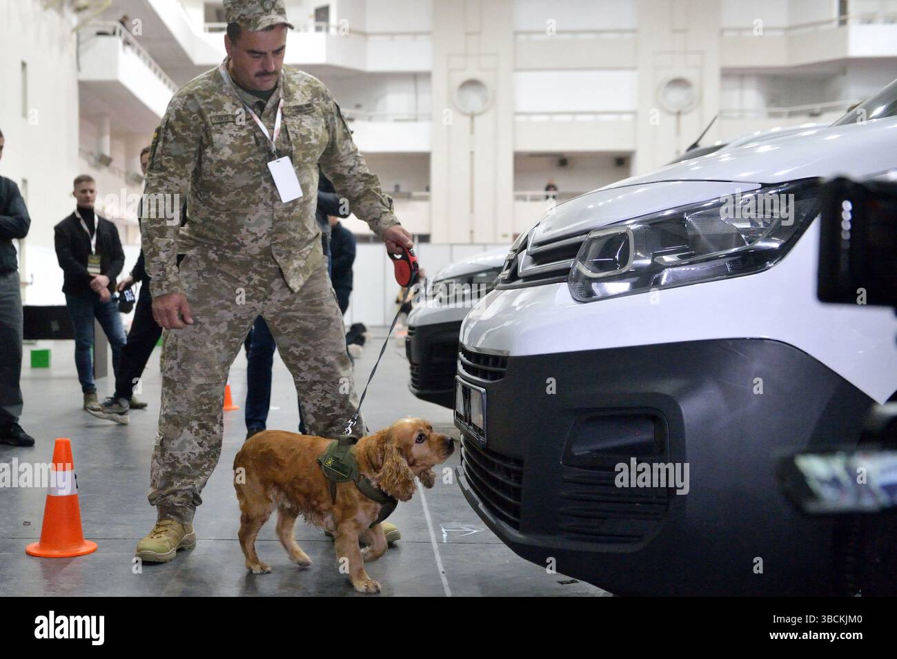 Non exclusif : un maître-chien et un chien renifleur fouillent un véhicule lors d’une démonstration de compétences en détection d’explosifs dans le cadre du plus grand chien d’Ukraine Banque D'Images