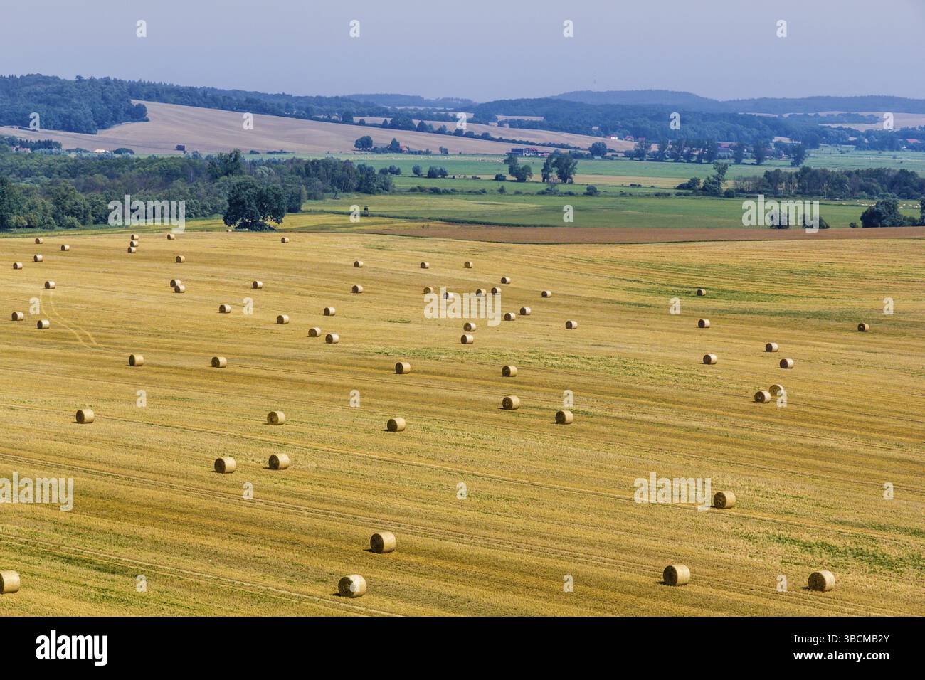 Champ Havest avec balle de paille Banque D'Images