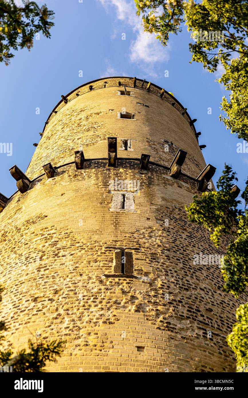 Une tour de pierre robuste atteint vers le ciel, flanquée d'arbres luxuriants. La lumière du soleil met en évidence la texture altérée de la tour tandis que le ciel bleu profond pro Banque D'Images