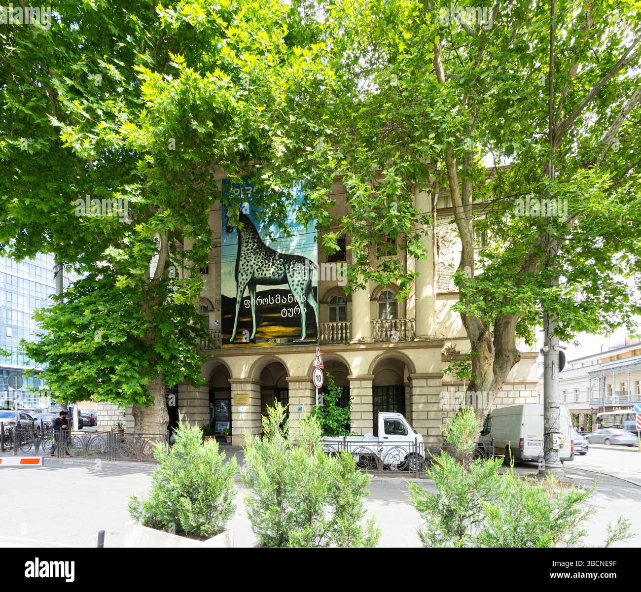 Tbilissi, Géorgie. 17 mai 2025. Vue extérieure du Musée des Beaux-Arts Shalva Amiranashvili dans le centre-ville Banque D'Images