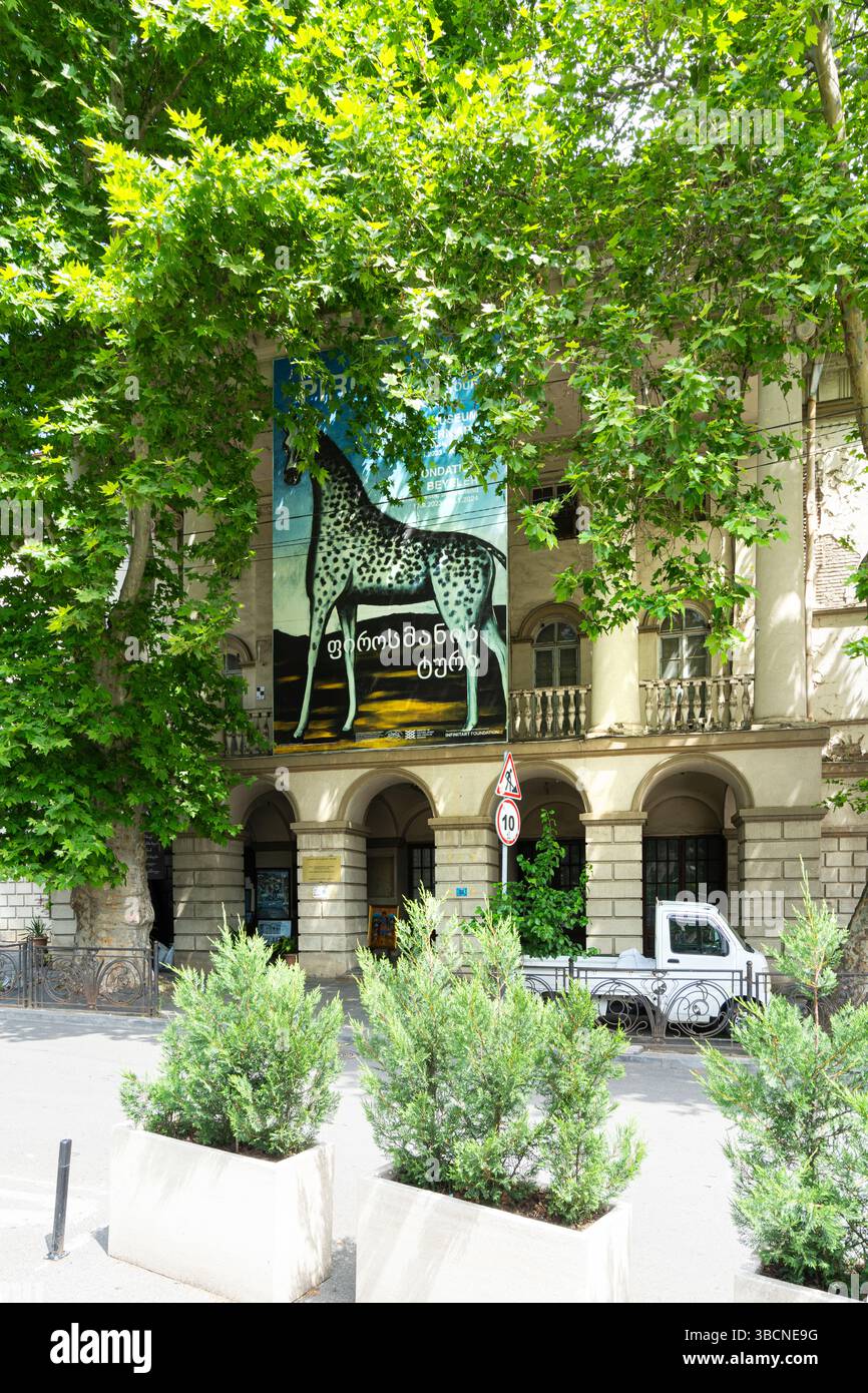 Tbilissi, Géorgie. 17 mai 2025. Vue extérieure du Musée des Beaux-Arts Shalva Amiranashvili dans le centre-ville Banque D'Images