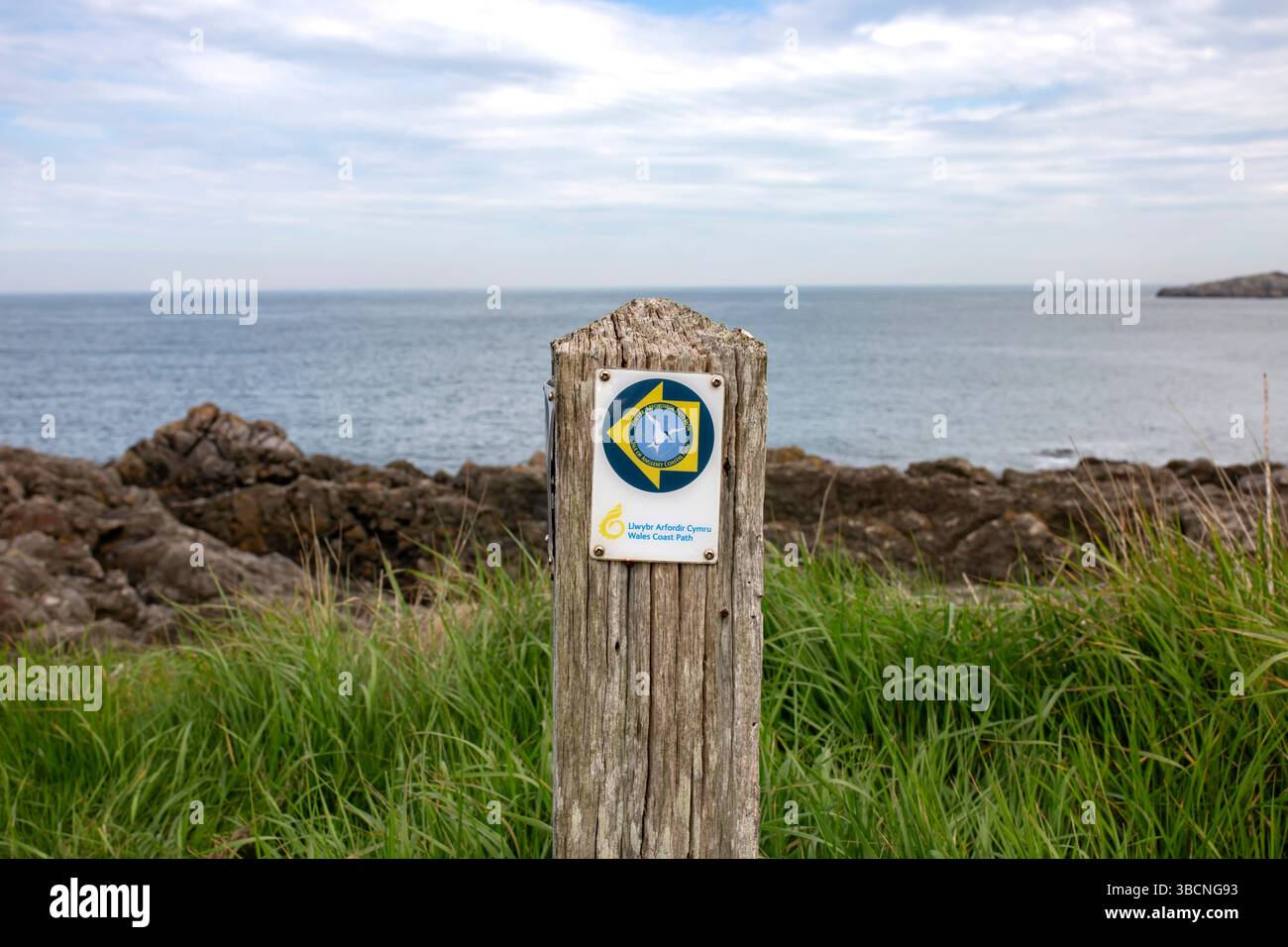 Chemin de la côte du pays de Galles, île d'Anglesey Coastal pah, panneau en bois avec la mer en arrière-plan. Pays de Galles, Cymru, marqueur d'itinéraire de marche. Banque D'Images