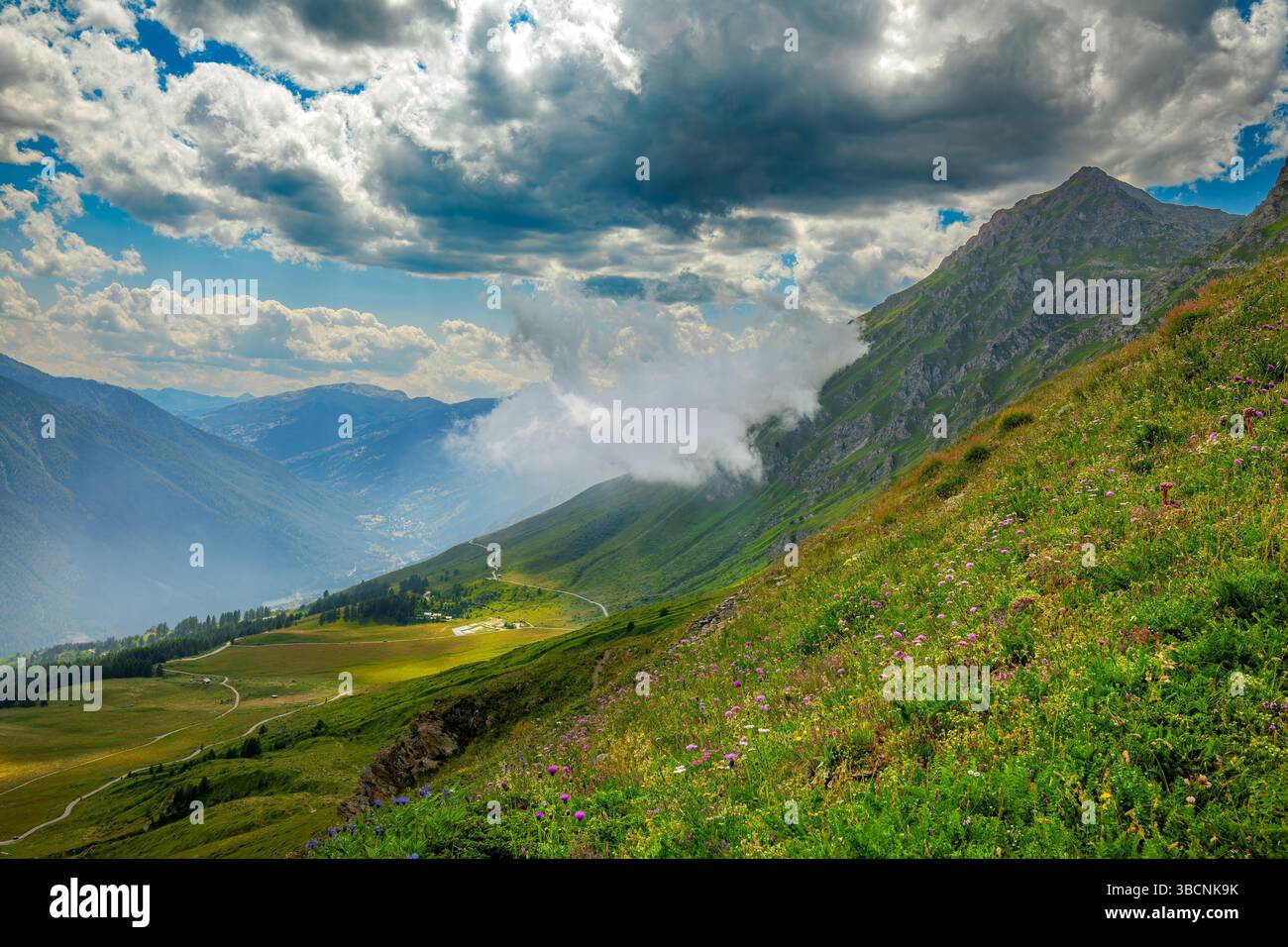Pentes verdoyantes couvertes de végétation alpine sous ciel nuageux près de colle delle Finestre dans le Piémont, Italie. Banque D'Images