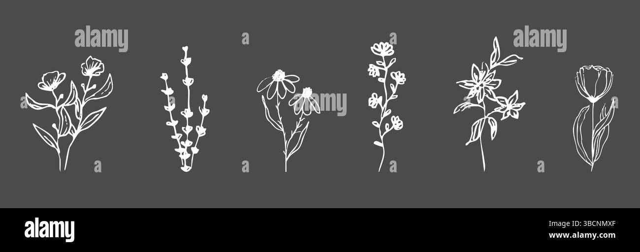 Herbes sauvages de la forêt et fleurs vintage texturé dessin à la craie. Silhouette de flore rétro de ligne d'herbe. Crayon doodle dessiné à la main. Illustration vectorielle Illustration de Vecteur